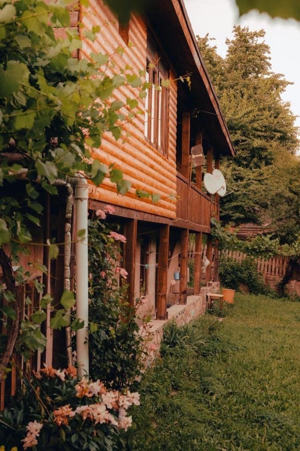 Teo Guesthouse And Camping In Местия Екстериор снимка